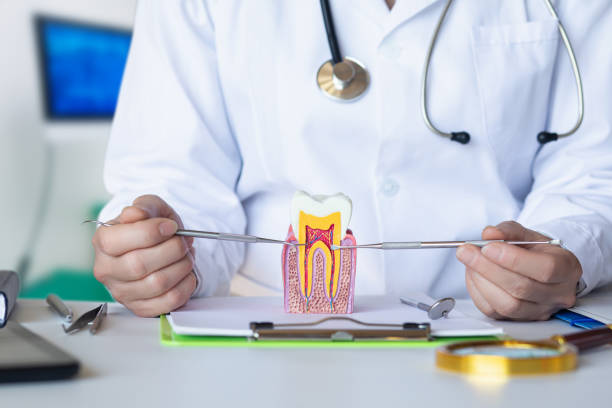 Best Emergency Root Canal Treatment in Wd, AR